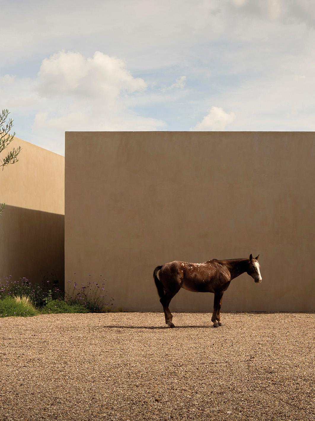 Header image Magazine