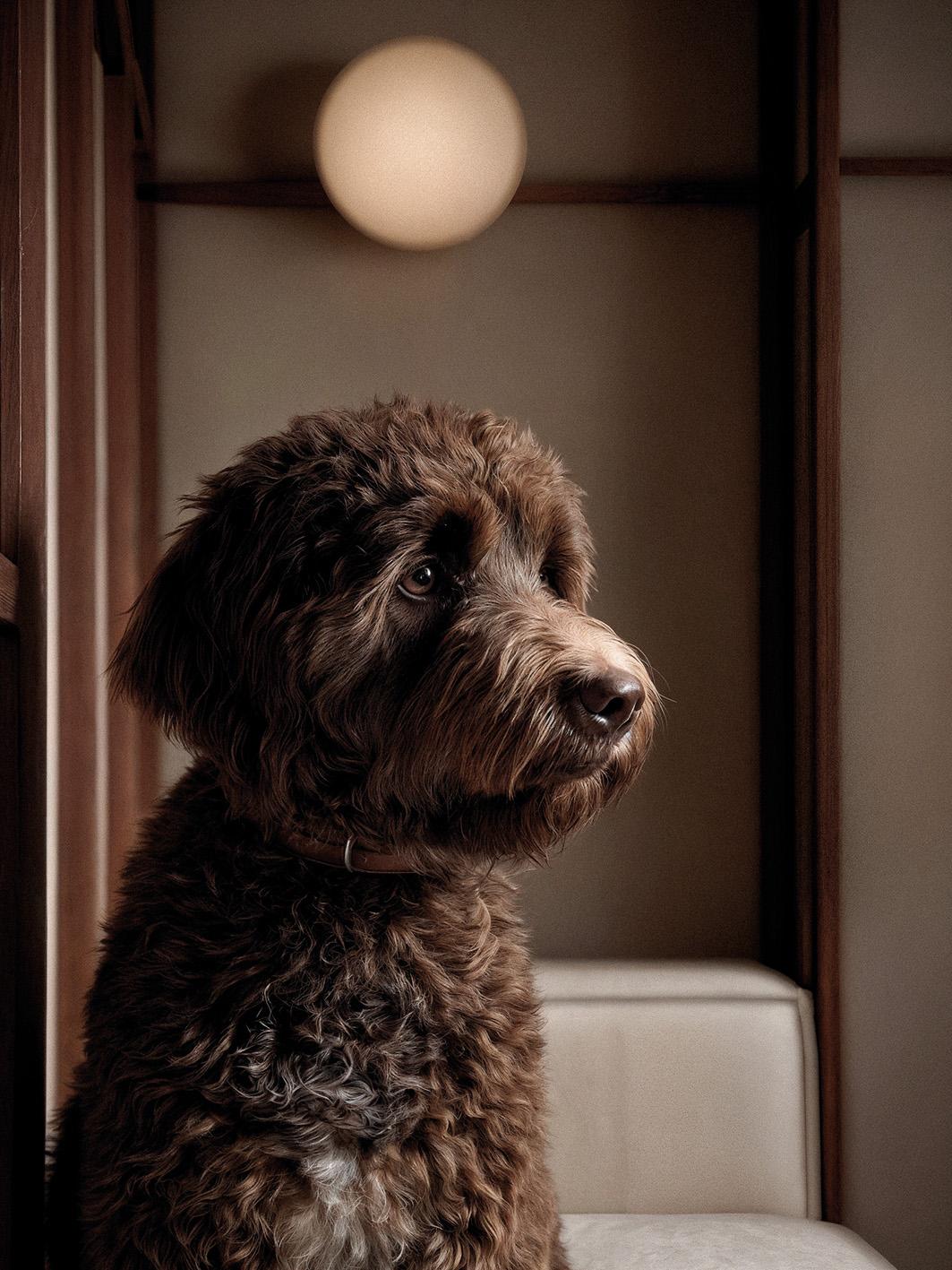 Header image Magazine